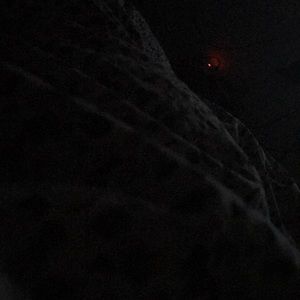 Meet your Posher, Terri